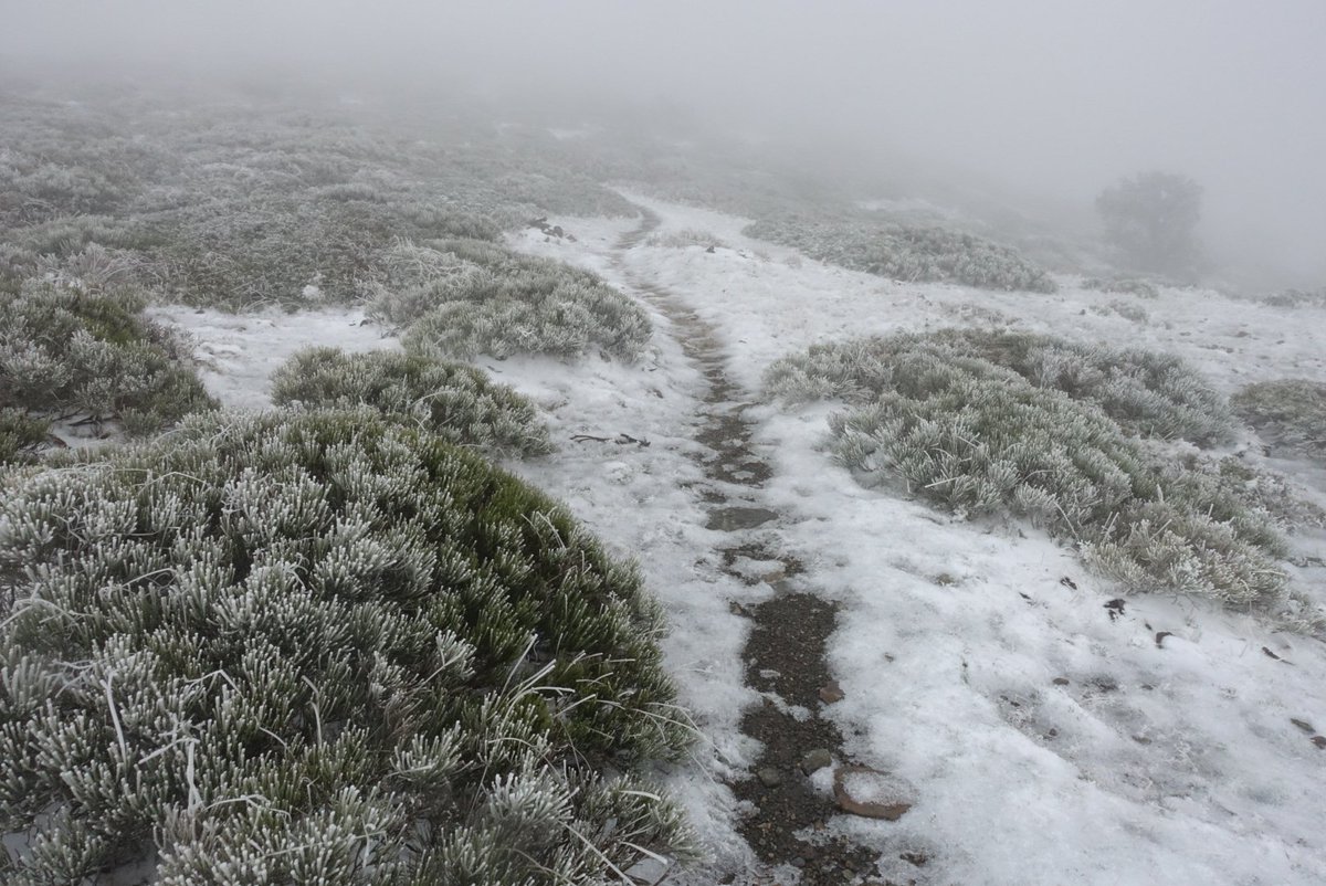 Viajarapie tweet media