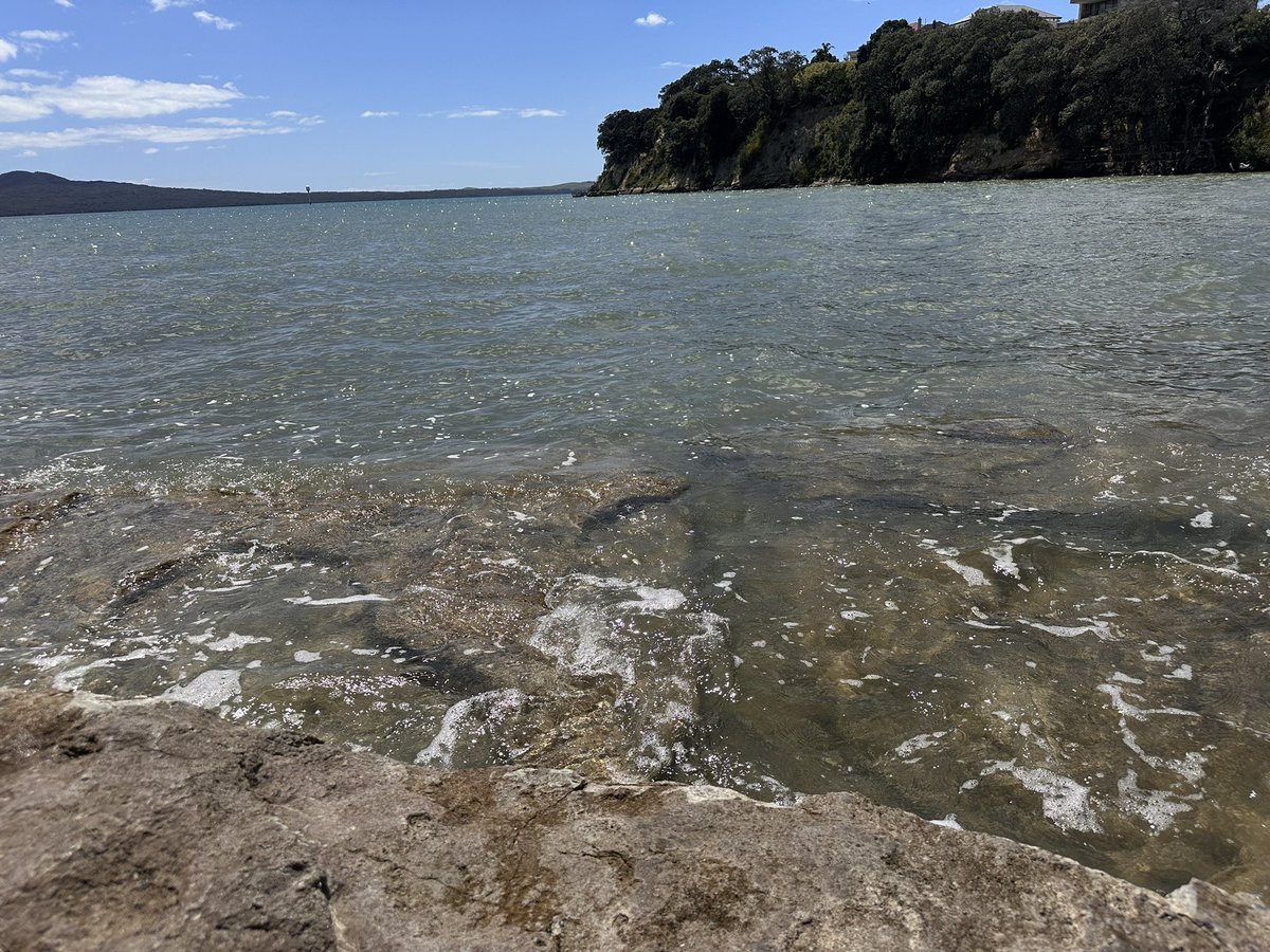 Rachel Colley tweet media