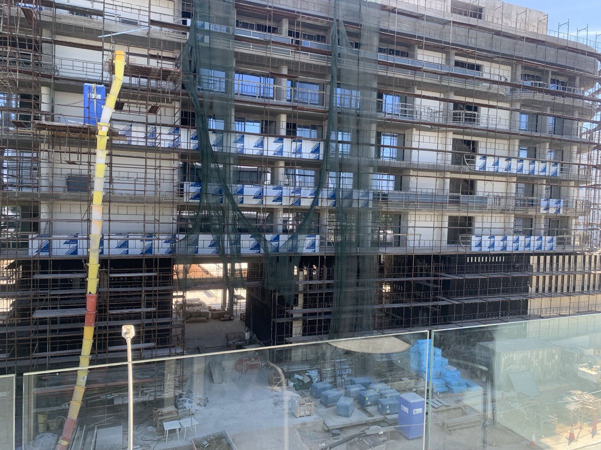 sadie nine tweet media