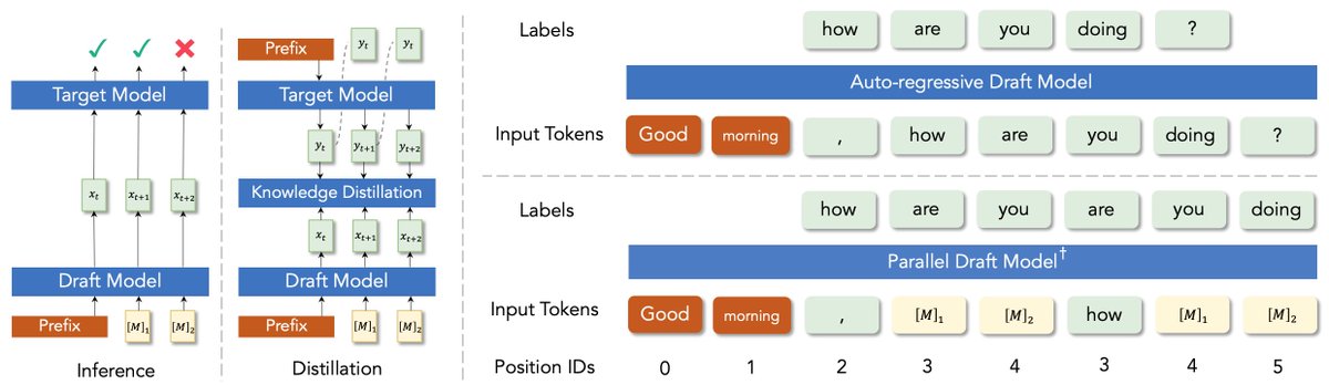 ✨ Still not satisfied with your speculative decoding (SD)? ✨ Try our newly released ParallelSpec 🚀, which integrates seamlessly into existing SD frameworks! 💡

By carefully training a parallel drafter, ParallelSpec can generate future tokens in parallel, boosting leading SD