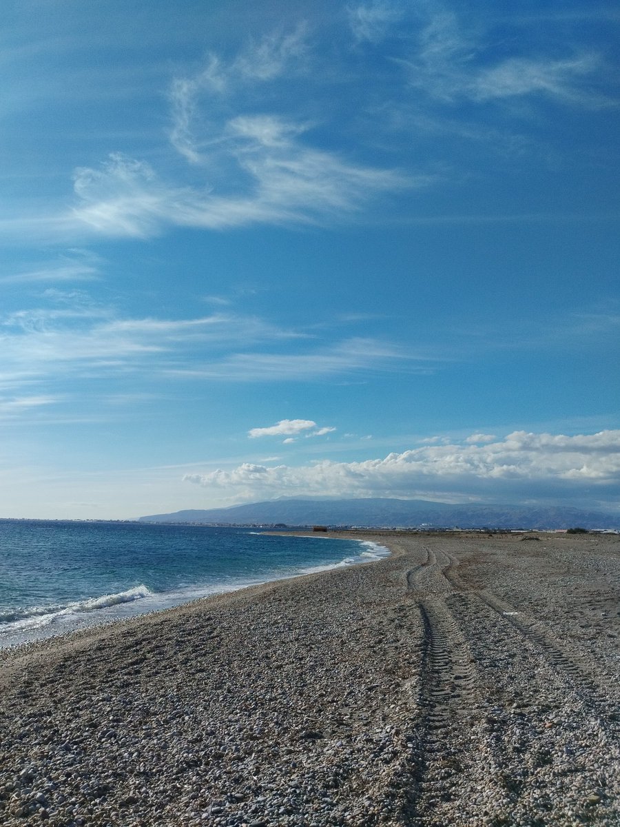 Fran Zafra tweet media