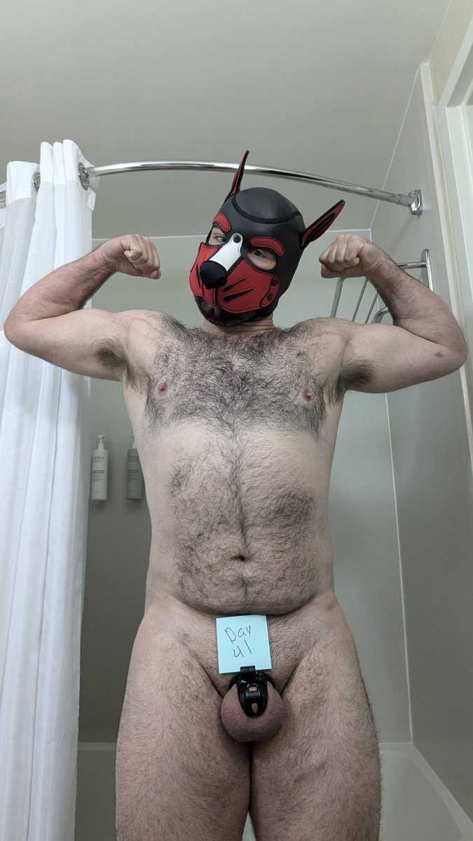 Officially beat my record day 41 locked

 #gay #abdl #diapers #diaperpup #little #puppyplay #gayabdl #kink #pup #puppy #kinkcommunity  #pupplaybdsm  #locked #chastity #nub #lockedpup