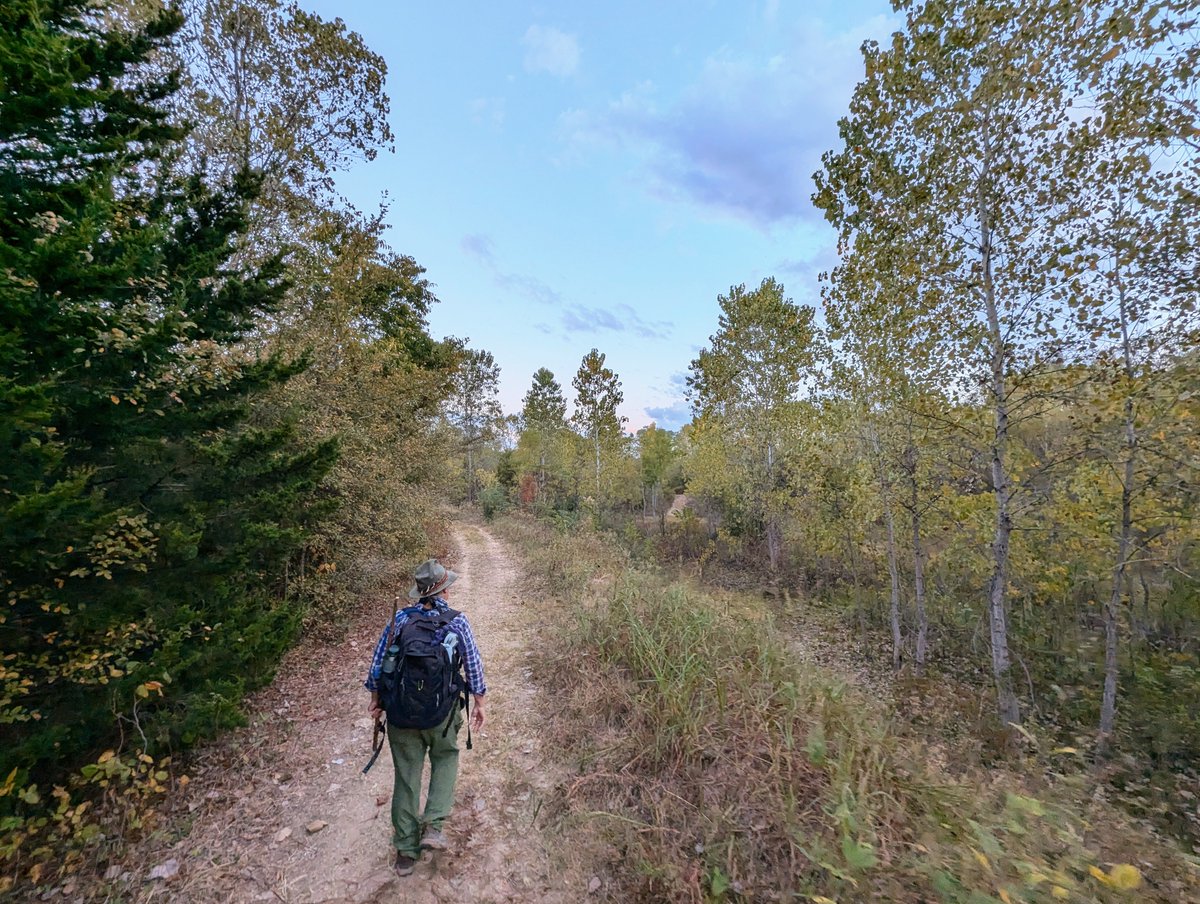 Exploring McCommas Bluff Preserve and Dowdy Ferry trails in Dallas Great Trinity Forest this morning. Ancient limestone cliffs and diverse habitats make for an interesting walk to Elam Creek. Despite illegal land uses and dumping the river bottoms here are still beautiful.
