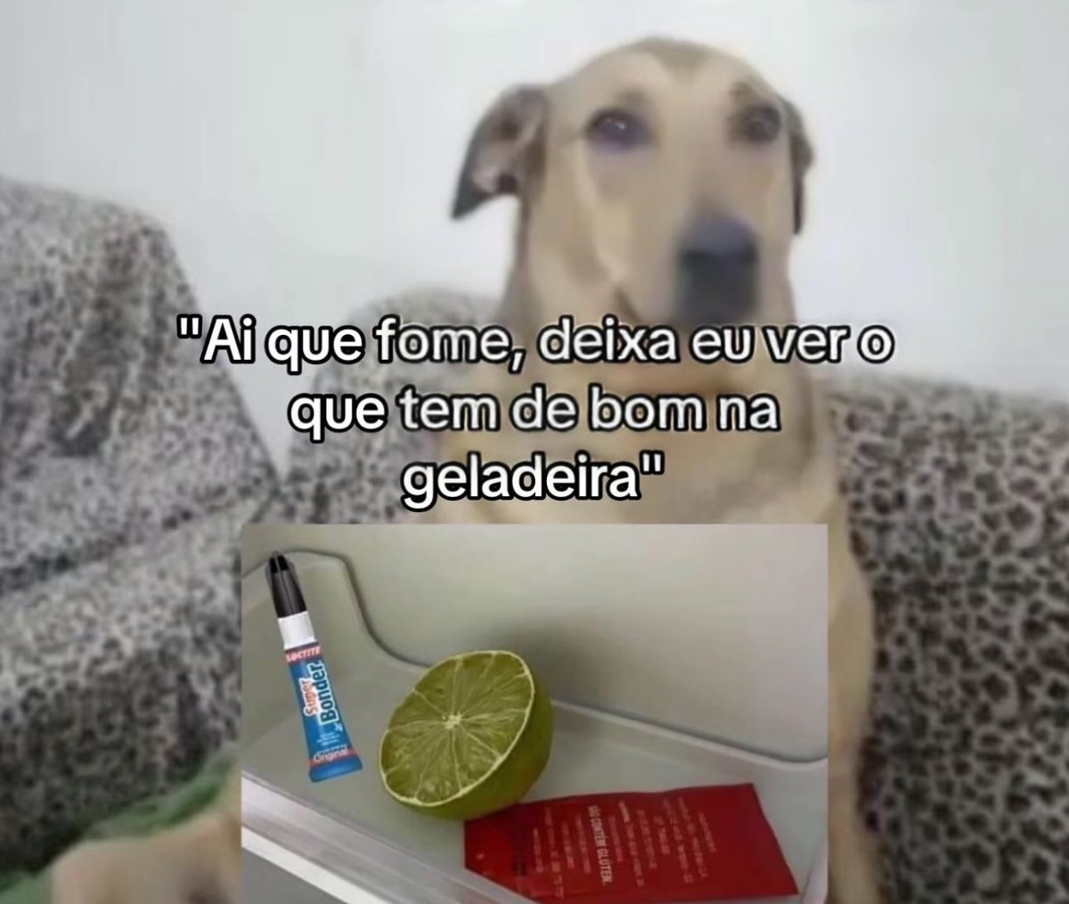 shitpostverdade's tweet photo. https://t.co/Ooknct6PMQ