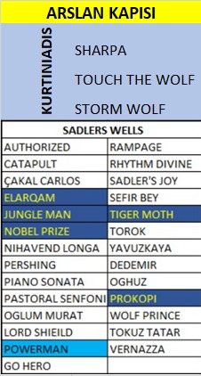 <a href="/FatihGvercin6/">Fatih Güvercin</a>  beyin kısrağının detaylı çalışılmış halidir.