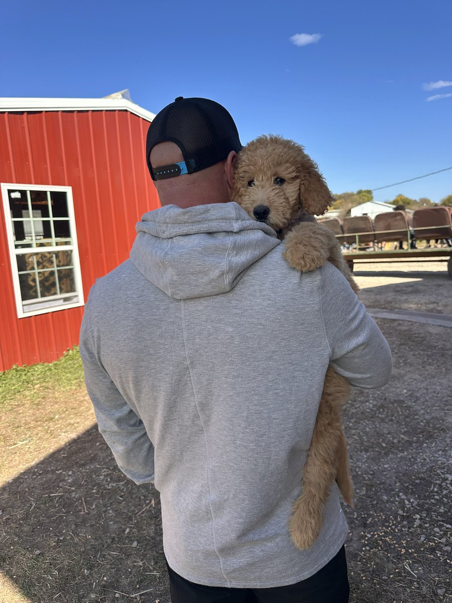 Lady Mae’s first trip to the pumpkin patch! @john_hunt12

#goldendoodle #spoileddoodle #ourbabygirl🎀