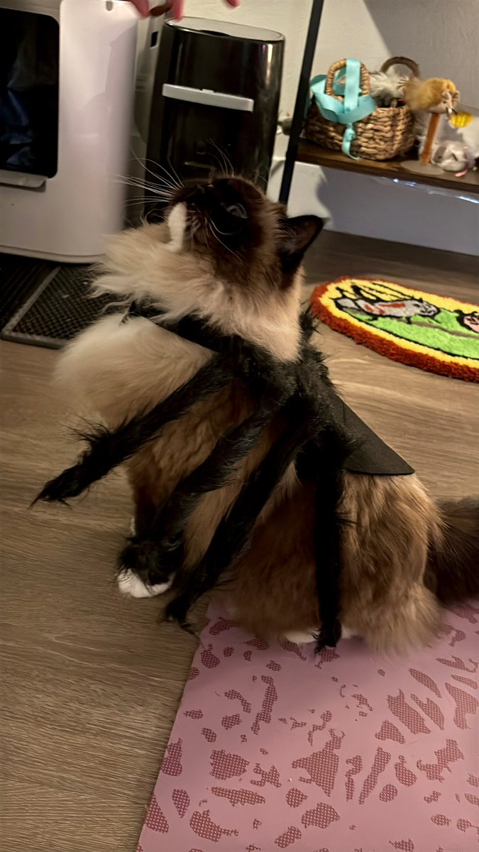 Olivia🪴 tweet media