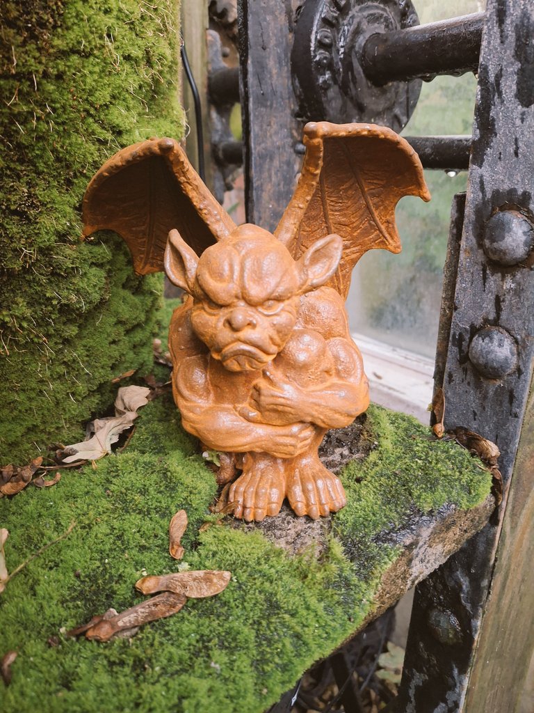 Everyday here is Halloween 🎃 
#Halloween #GardeningX #GardeningTwitter