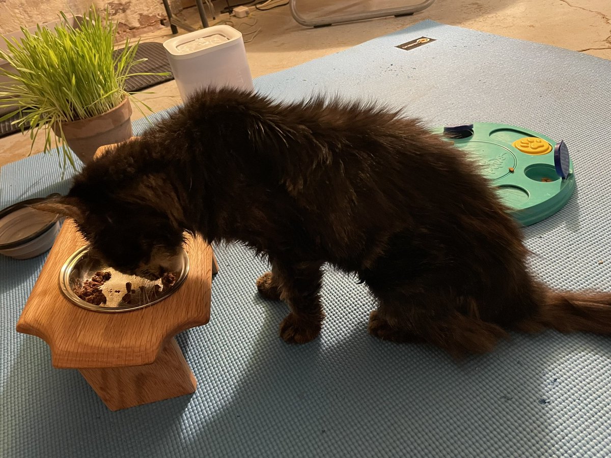 Soft Side tweet media