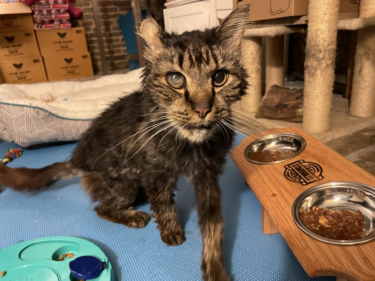 Soft Side tweet media