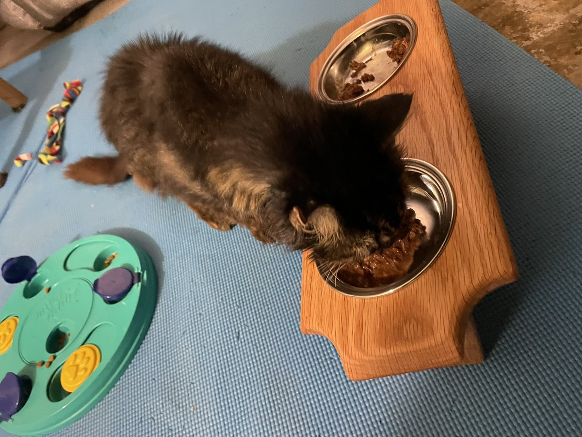 Soft Side tweet media