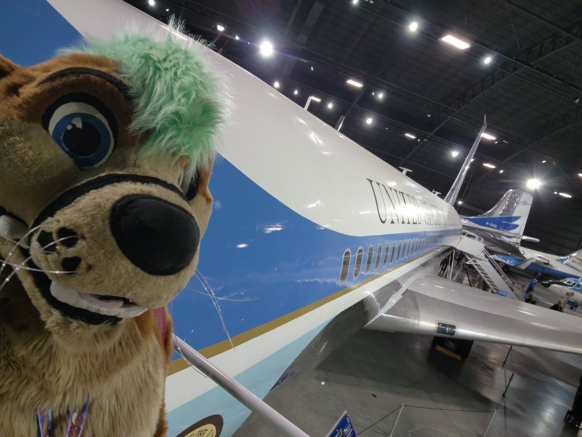 OtterDestruction 🦦🐟 tweet media