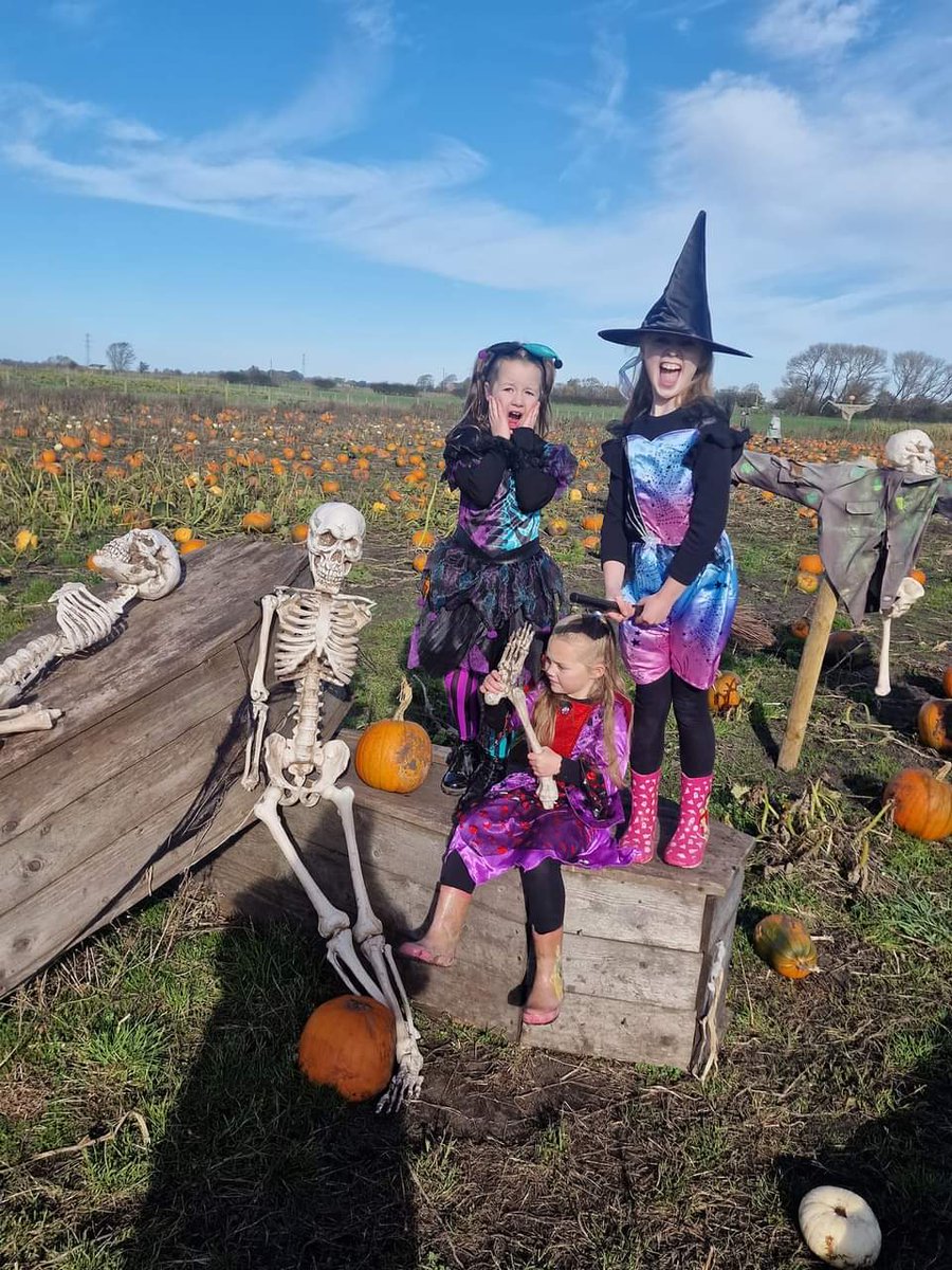 sam_lock11's tweet photo. Farmer Teds with these spooky lot 🎃👻 https://t.co/DMuCUcSH4F