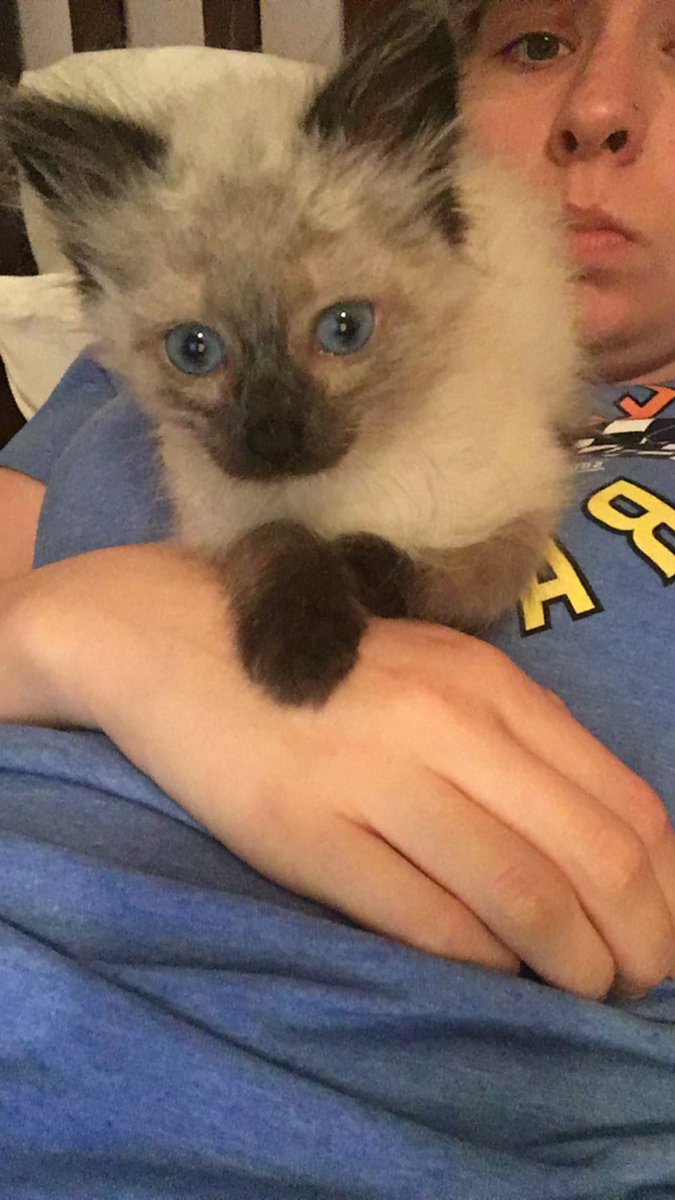 Coffee Master Caitie tweet media