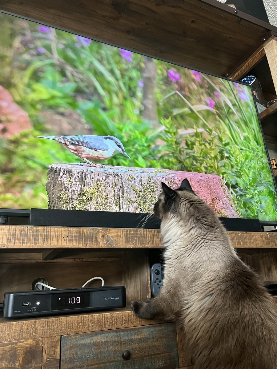 Coffee Master Caitie tweet media