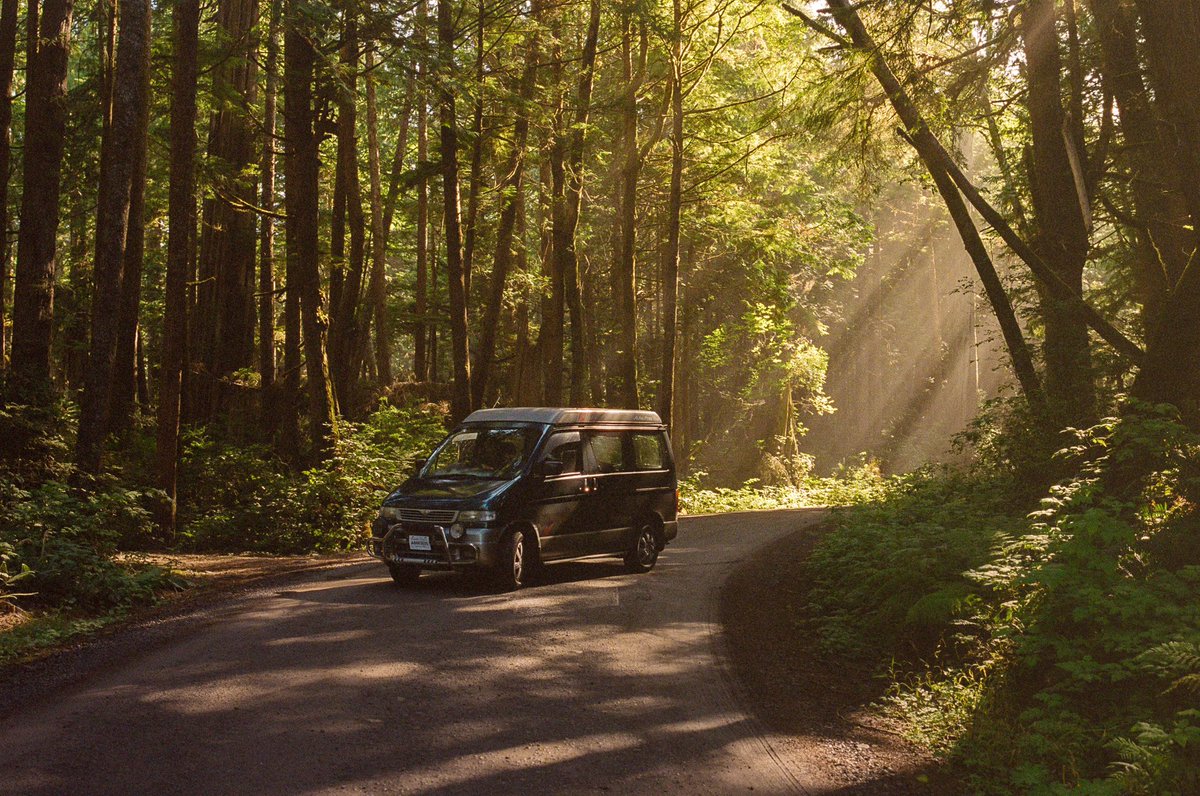 eamonsphotoss's tweet photo. Washington on film https://t.co/7wj23DEQrB