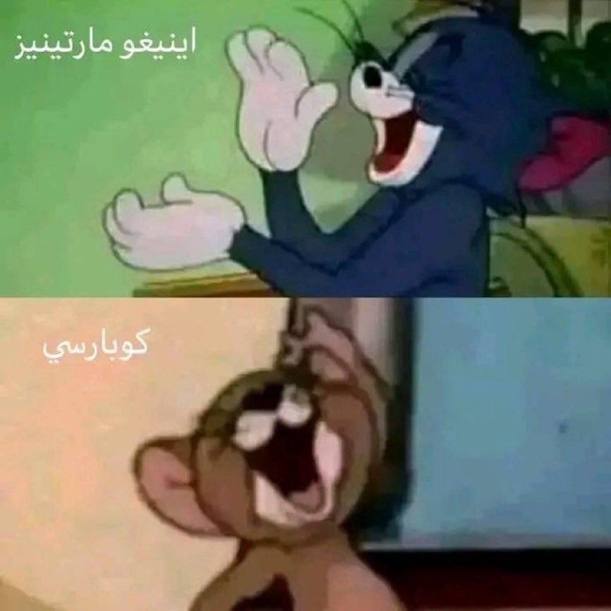 Bander 🇸🇦 tweet media