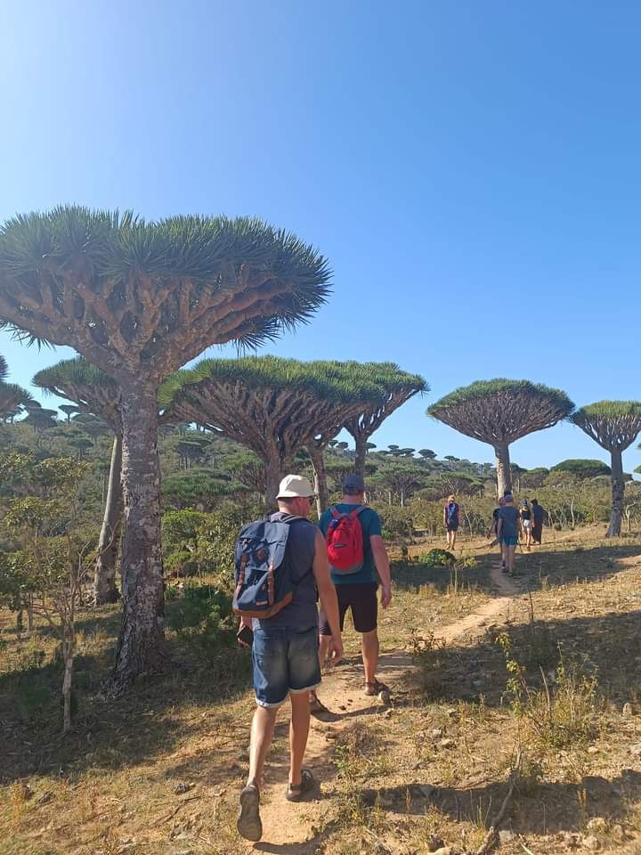 Aa702Ali's tweet photo. We offered a variety of tours and adventures to enhance your Socotra's vacation experience. Weekly tours (two-week and five-day tours) are offered, together with airport transportation. Explore Socotra with us:
https://t.co/5zTHEuKbUI
E-mail: info@socotrareliable.com https://t.co/jS2eyofJ2e