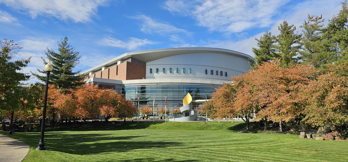 Steve McLean tweet media