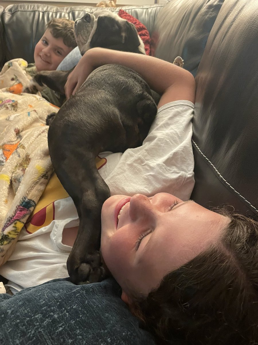 KBeckmanFHS's tweet photo. Real dangerous scenario for Lucy. Also..the dog thinks there is nothing wrong with where he is sitting. https://t.co/BeZuOrKnQw