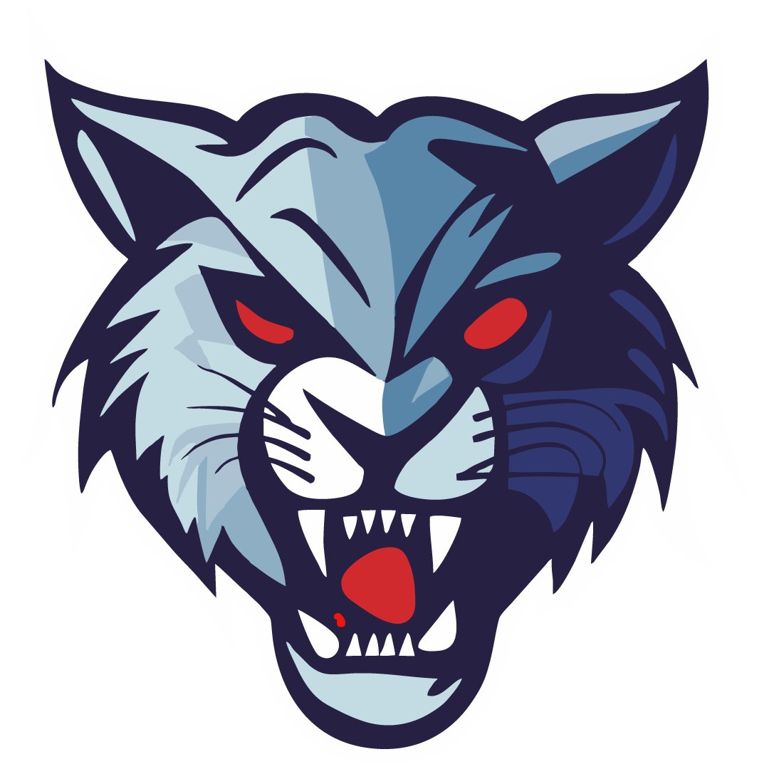 First, we would like to thank the Dodgers for allowing us, and supporting us, over the last few years to be a part of the Dodger family and wear Dodger blue!

With that being said, we will be starting our own brand, Lynx Baseball. Doing this gives us the ability to allow our