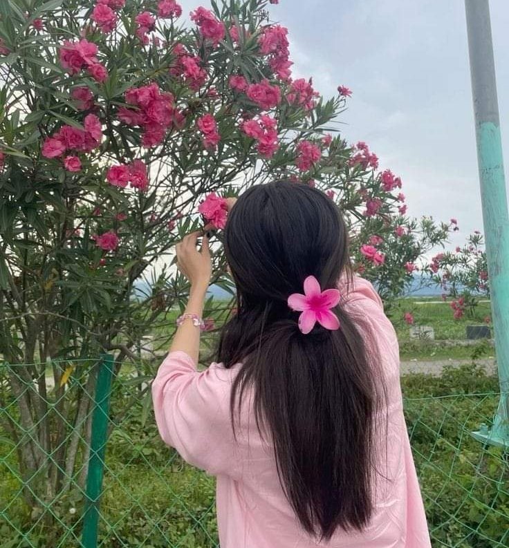 Every morning is a new opportunity, every 
day is a new beginning. With the first ray of morning, may your life have new light.

Good Morning