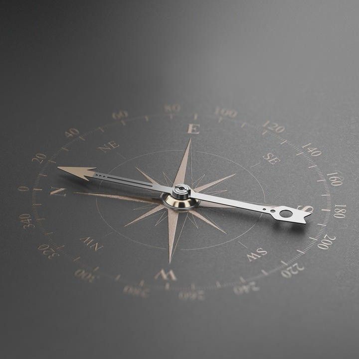 Direction matters more than speed. In the journey of life, take time to align yourself with true purpose, for a clear path forward will always outshine the rush of empty progress. Trust your compass, even in moments of uncertainty—it knows the way better than the hurried steps