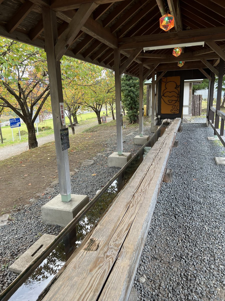 鈴菌　１９号 tweet media