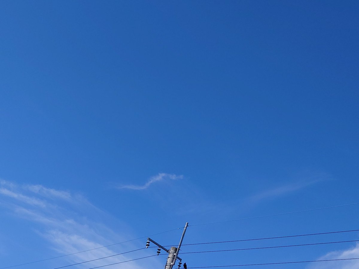 gogolakes's tweet image. 空に浮かぶ雲☁が楽しく気持ちよさそう♫なんかよきっ😊☀✨

#イマソラ
#おはようございます
#HELLONEWDAY
#今日もいい日になるでしょ
#きっと大丈夫