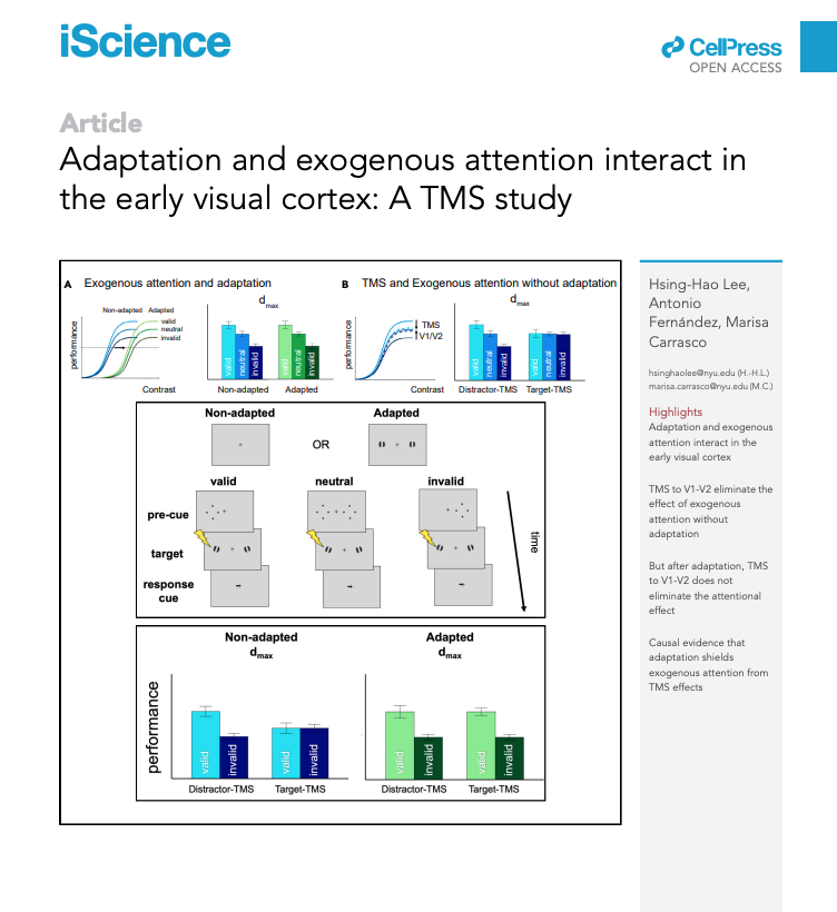 Hsing-Hao Lee (@hsinghaolee) on Twitter photo Our paper is out in iScience!
In the study, we used TMS to reveal the interaction between visual adaptation and exogenous attention in the early visual cortex.
<a href="/carrasco_lab/">The Carrasco Lab</a>
cell.com/iscience/fullt… Our paper is out in iScience!
In the study, we used TMS to reveal the interaction between visual adaptation and exogenous attention in the early visual cortex.
<a href="/carrasco_lab/">The Carrasco Lab</a>
cell.com/iscience/fullt…
