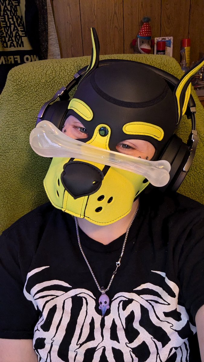 Puppy got new toys today!!