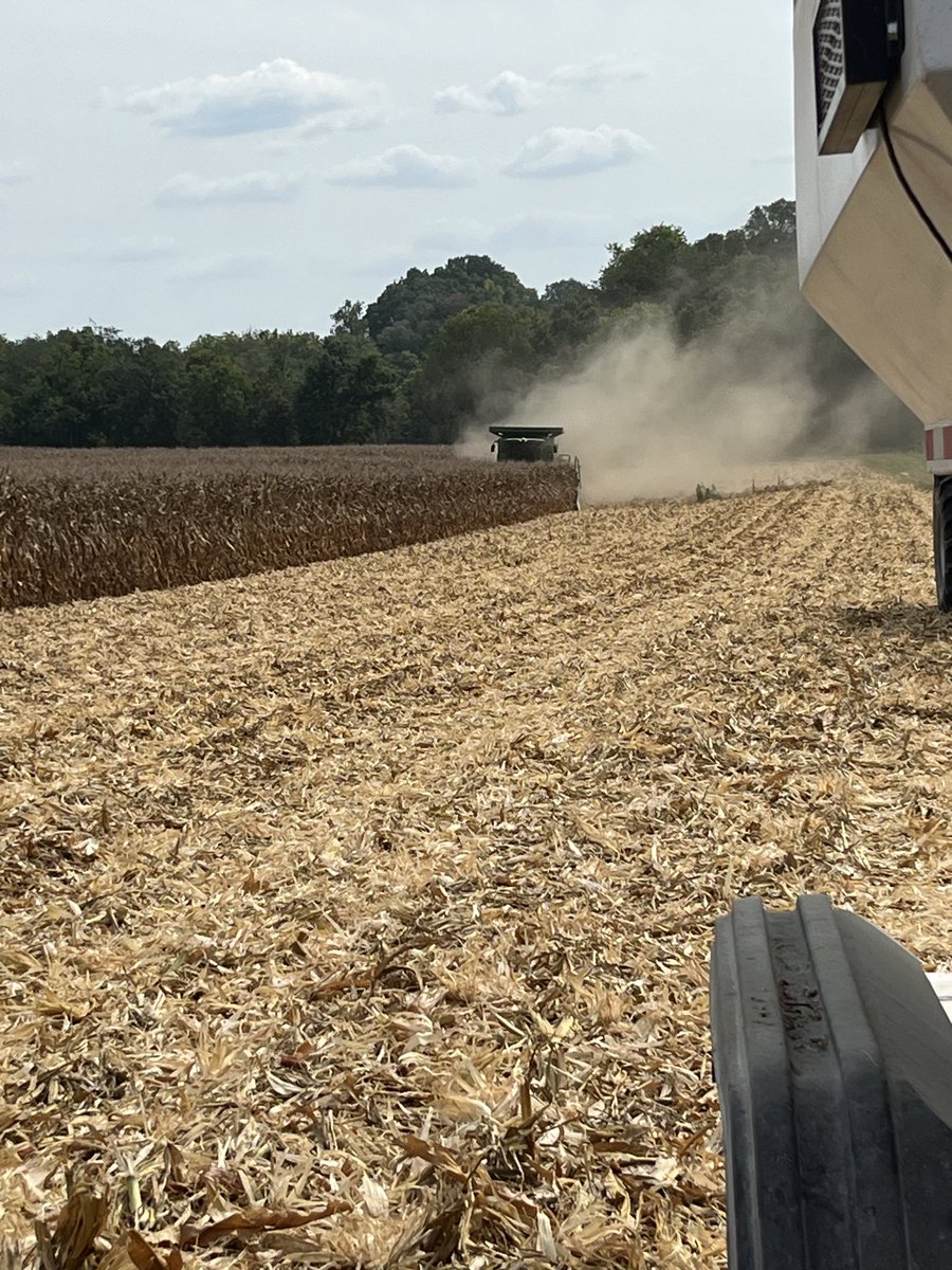 kyle_m21's tweet photo. @Storm5farms Chain rolls &amp; stompers. It’s still not as black as you’d probably like it with a 1 pass ripper (non 875 or dominator). We have ran a VT &amp; ripper after to do any c/c. https://t.co/tigjTaWuKT