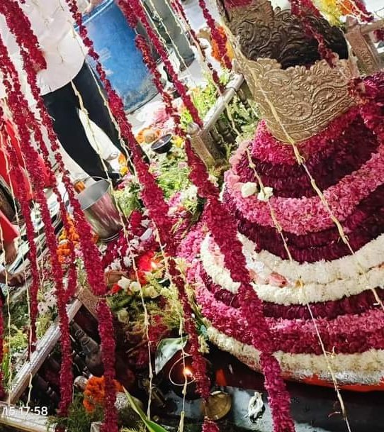 जय हो भेरू जी महाराज की जय हो 🙏

हे भेरु जी महाराज सबका भला करो सबके कष्ट हरो