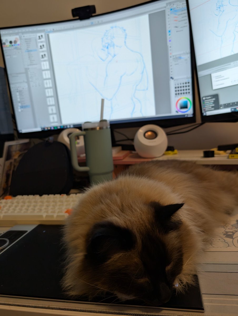 CanneDeBonbon's tweet photo. nao says no drawing (porn) allowed https://t.co/sHgQO745gp