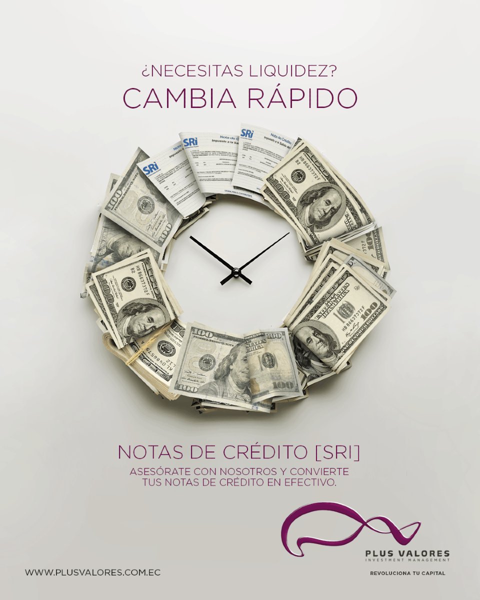 Plus Valores - Investment Management tweet media