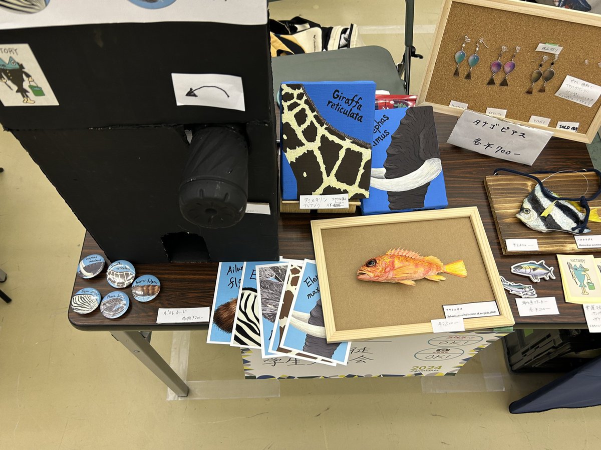 いきもにあ2日目スタートです！
SNS担当は昨日の疲れが抜けず老いを実感しております…
とにかく2日目も宜しくお願いします！！！！！
#いきもにあ2024