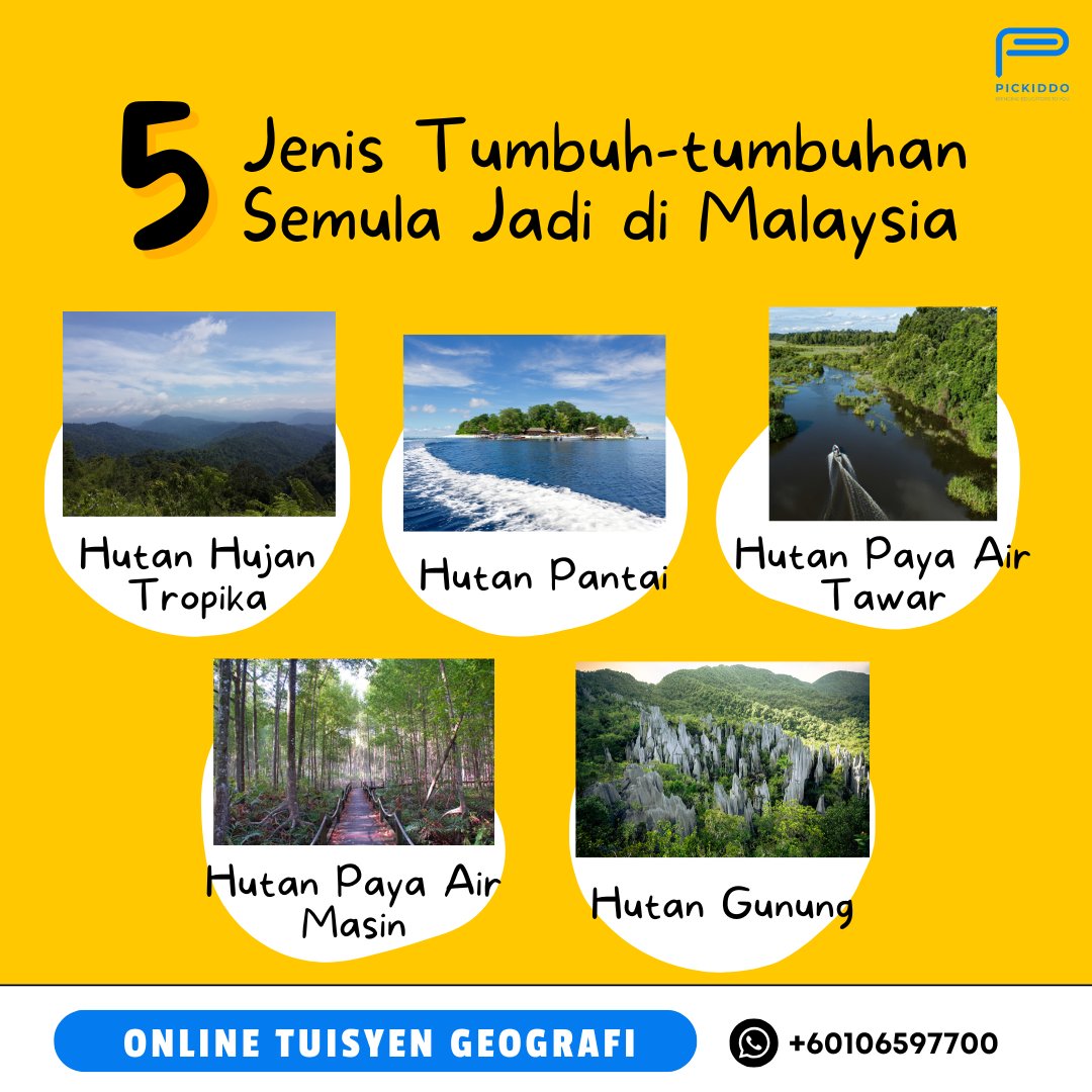 pickiddo's tweet photo. Jom join online tuisyen Geografi dan belajar bersama tutor terbaik kami 🌏📗 

#Geografi #Tuisyen #Online https://t.co/FJRZFILMwy