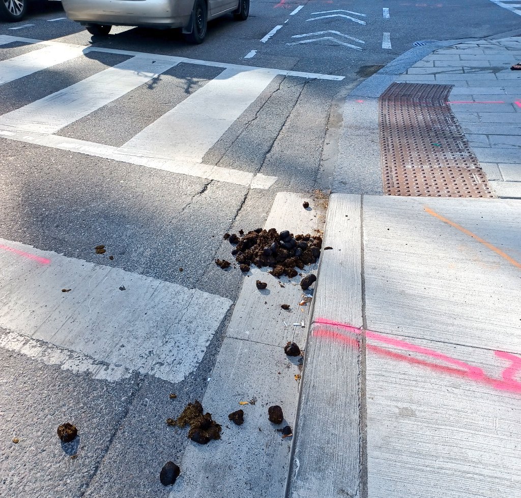 If Doug Ford rips out all the bike lanes, where will the Toronto Police horses poop?
