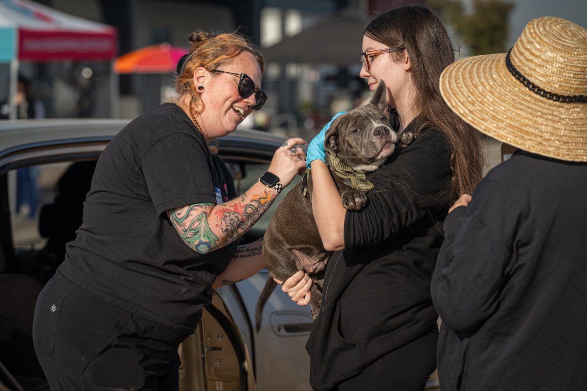 MayorJerryDyer's tweet photo. Hundreds and hundreds of Central Valley dogs received FREE vaccines this morning at the Fresno Animal Center - the first of many upcoming drive-thru clinics! 🐕💙 https://t.co/mxEExl6nKp