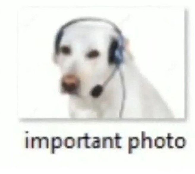 hourly_shitpost's tweet photo. https://t.co/K5JNvOJzGU