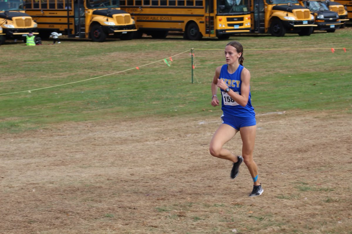 Mercy Tigers tweet media