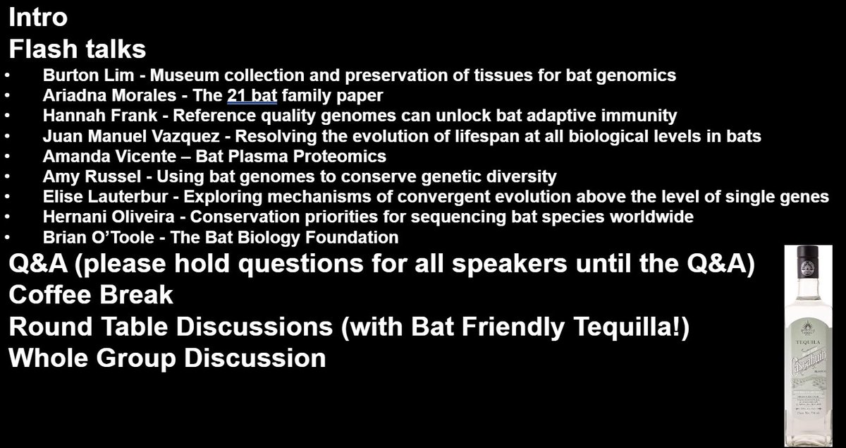 Bat1k Genome Project (@bat1kgenomes) on Twitter photo 🤩Our program for our workshop tomorrow 9am-1pm @ Orquidea ‼️
<a href="/burtonlim/">Burton Lim</a> <a href="/_AriadnaMorales/">Ariadna Morales</a> <a href="/TheMainManManny/">Juan Too Manny Strong Opinions 🇵🇷</a> <a href="/aamandavicente/">Amanda Vicente</a> <a href="/evolauterbur/">M. Elise Lauterbur 🏳️🌈</a> @HernaniFMO <a href="/B_P_OT/">Brian O'Toole</a> <a href="/Sonja_Vernes/">Prof Sonja Vernes, Bat Boffin🦇🌈</a> <a href="/hannahkfrank/">Dr. Hannah Frank</a> @ Amy Russel 🤩Our program for our workshop tomorrow 9am-1pm @ Orquidea ‼️
<a href="/burtonlim/">Burton Lim</a> <a href="/_AriadnaMorales/">Ariadna Morales</a> <a href="/TheMainManManny/">Juan Too Manny Strong Opinions 🇵🇷</a> <a href="/aamandavicente/">Amanda Vicente</a> <a href="/evolauterbur/">M. Elise Lauterbur 🏳️🌈</a> @HernaniFMO <a href="/B_P_OT/">Brian O'Toole</a> <a href="/Sonja_Vernes/">Prof Sonja Vernes, Bat Boffin🦇🌈</a> <a href="/hannahkfrank/">Dr. Hannah Frank</a> @ Amy Russel