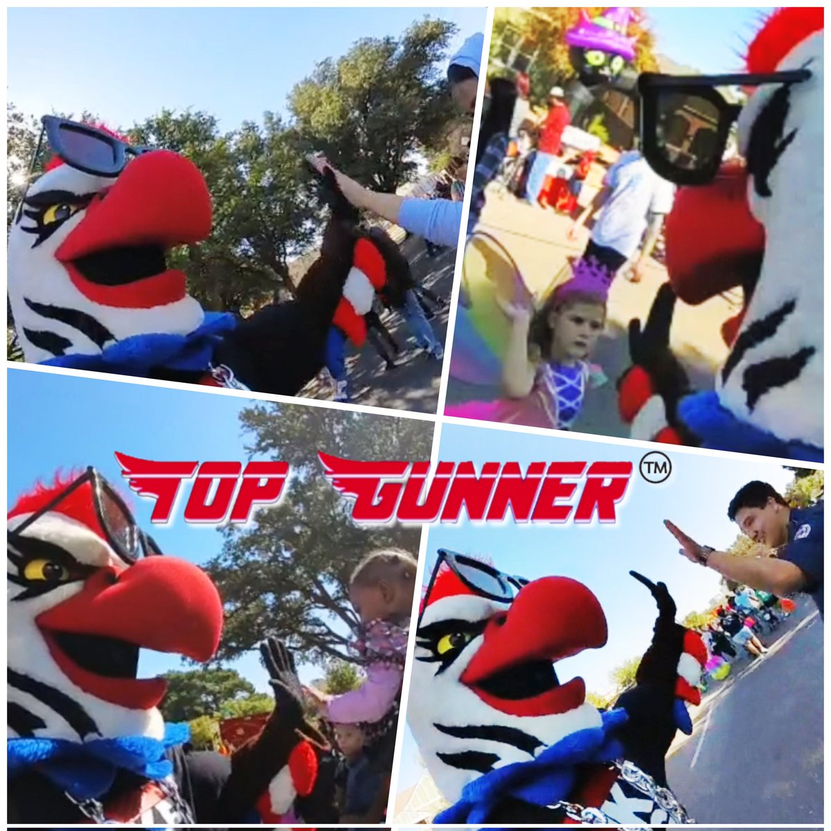 Top Gunner tweet media