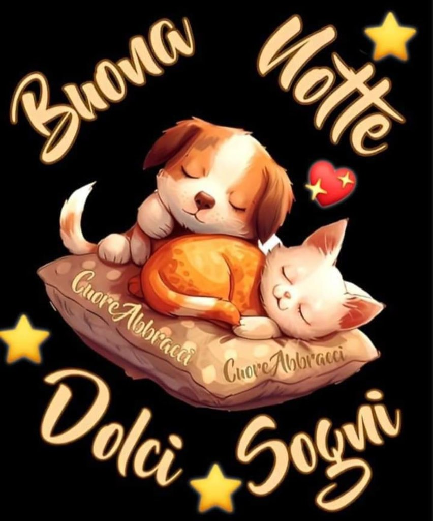 RITABIANCHi56 tweet media