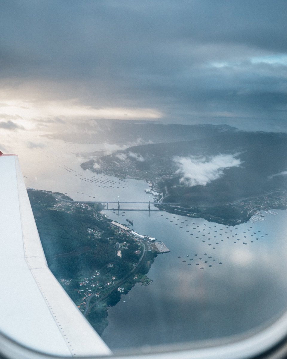 Son como da cor do ceo 😍🩵