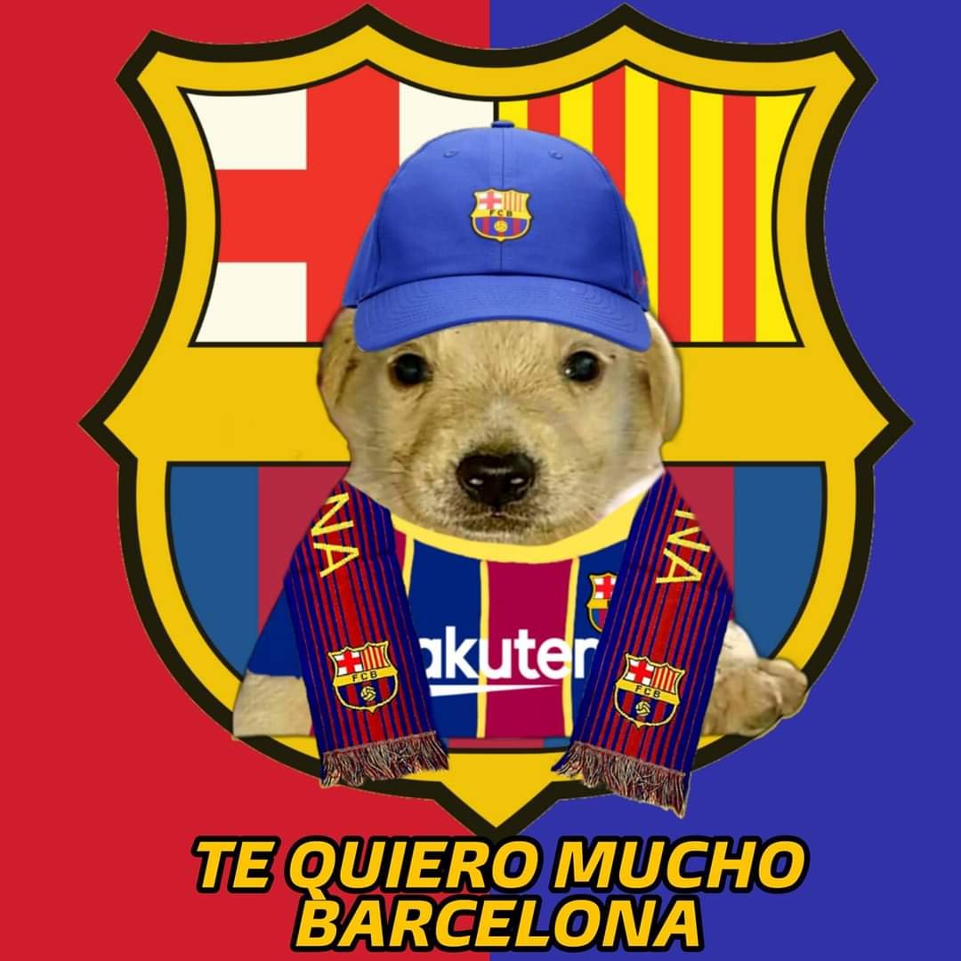 Universo FCBarcelona (@universo_1899) on Twitter photo 