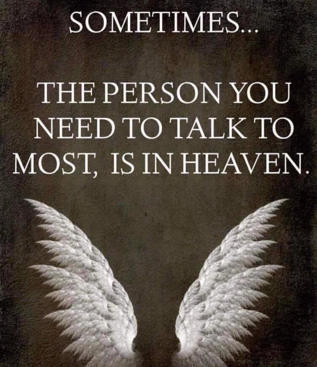 Olly The Owl (@ollyowl70) on Twitter photo 