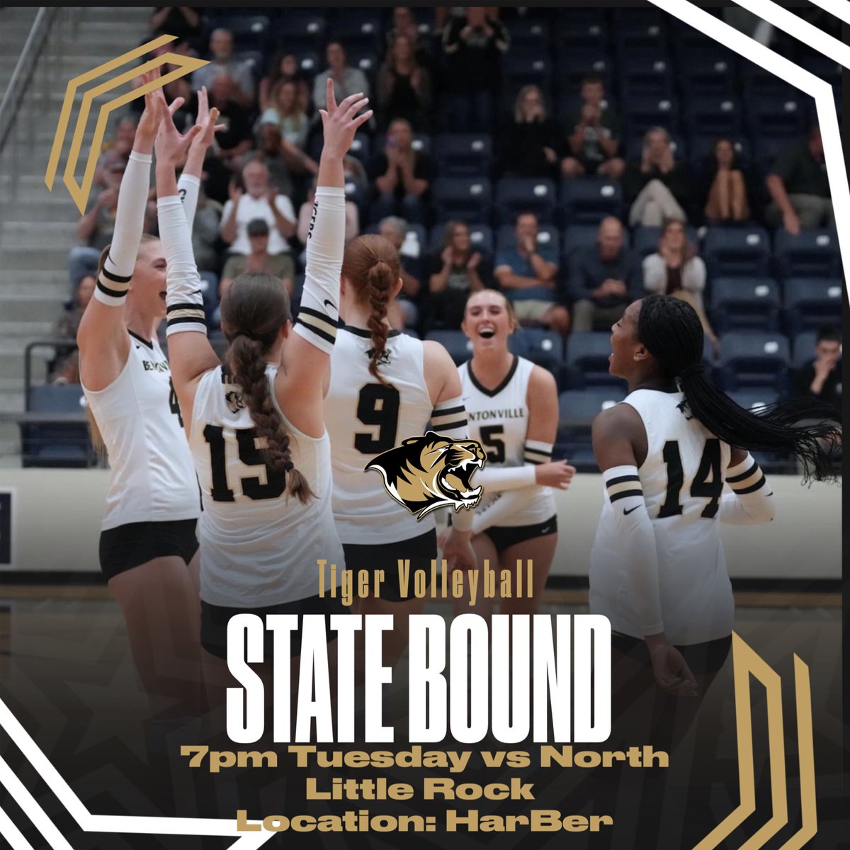 BHS Tiger Volleyball tweet media