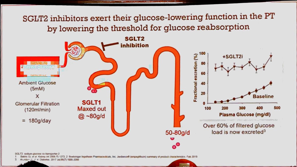 Rolando Claure, MD, FASN, FISN 🇧🇴 tweet media