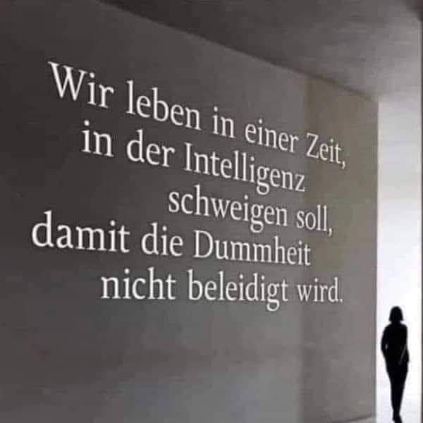 Mann mit Hund 🇩🇪🇦🇹 (@christians50780) on Twitter photo 